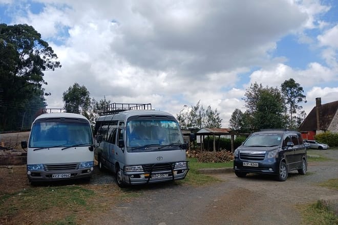 Mini vans and rosa buses