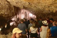 Full-Day Mallorca Caves Tour: Drach, Hams & Pearl Factory Visit 1