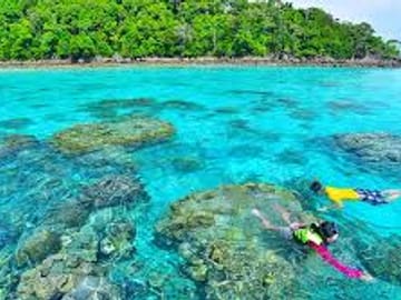 Khao Lak : Surin Islands Snorkeling Day Trip with Lunch