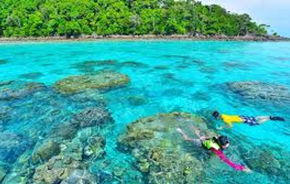 Khao Lak : Surin Islands Snorkeling Day Trip with Lunch