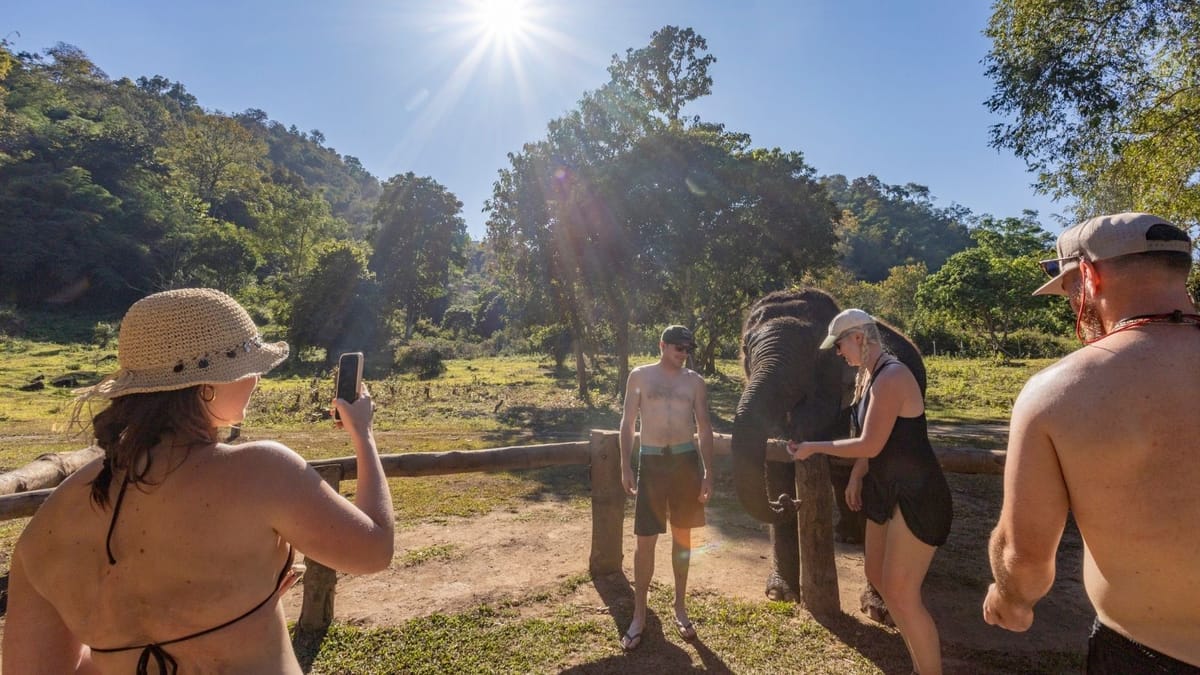 Chiang Mai Half-Day Adventure: River Tubing & Waterfall Slide