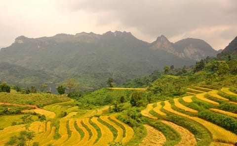 4-Day Jungle Trekking Adventure in Ba Be National Park