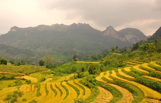 4-Day Jungle Trekking in Ba Be National Park