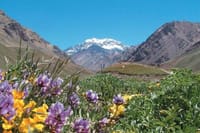 Mendoza