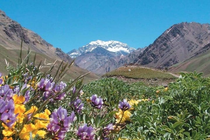 Mendoza