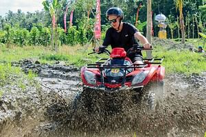Bali ATV Quad Bike Adventure with Sangeh Monkey Forest Experience