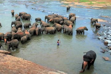 Five-Day Adventure Tour in Kandy, Sri Lanka