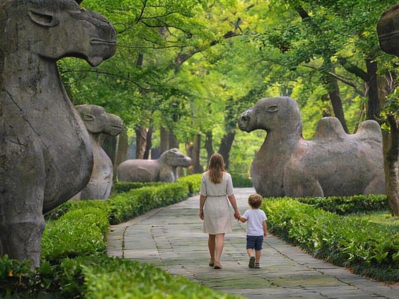 Nanjing:Must-See Attractions in One Day+Customized Itinerary