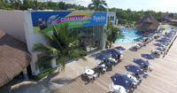 Cozumel: Dolphin Connection 9