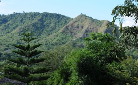 Cultural Hiking Tour and Homestay in Tanahunsur Village