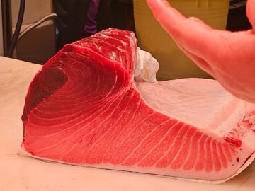 See the finest tuna and learn the key points to differentiate them