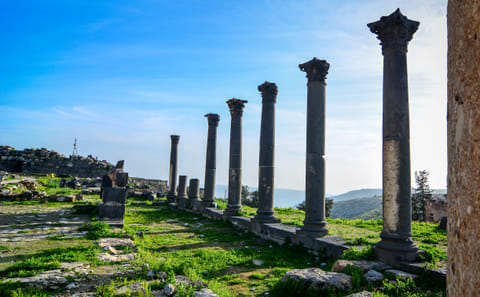Private Full Day Tour of Umm Qais and Ajloun from Dead Sea