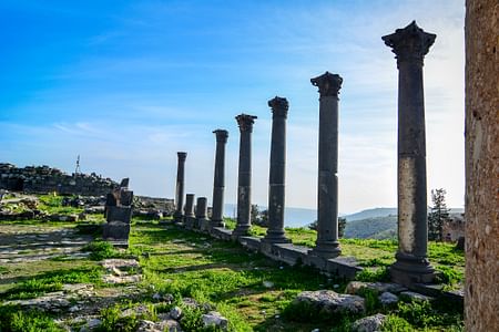 Private Tour of Umm Qais Greco-Roman Ruins & Ajloun Castle from Dead Sea