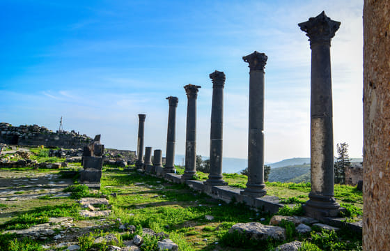 Private Full Day Tour to Umm Qais and Ajloun from Dead Sea