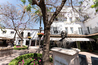 City Walk + Wine and Olive Oil tasting 6