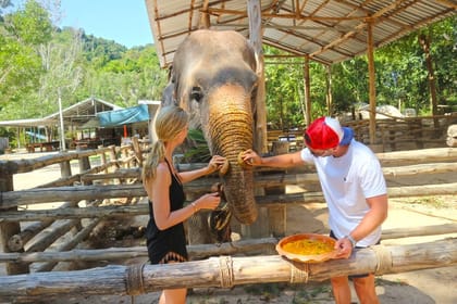 Phuket: Private VIP Elephant Care Program
