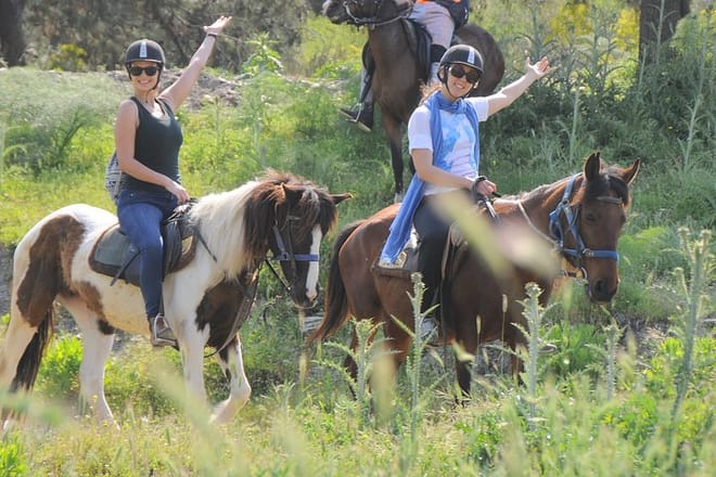 Kusadasi: Horse Riding Beach and Forest options with Transfer photo 6