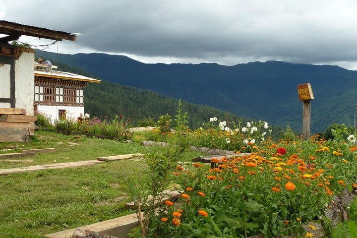 19 Days Mera Peak Climbing & Expedition – One Life-Changing Himalayan Adventure