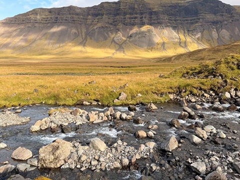 Snæfellsnes Peninsula Private Guided Tour, photo 16