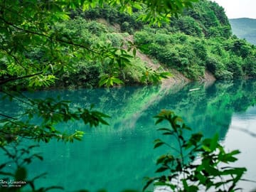 Two Days Private Tour to Mogan Mountain from Shanghai