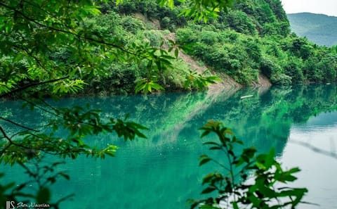 Private Two-Day Tour to Moganshan from Shanghai