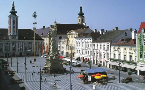 Private Walking Tour of Historic Sankt Pölten Old Town