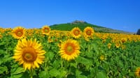 Audio Guide for All Strandzha Mountain Sights, Attractions or Experiences 1