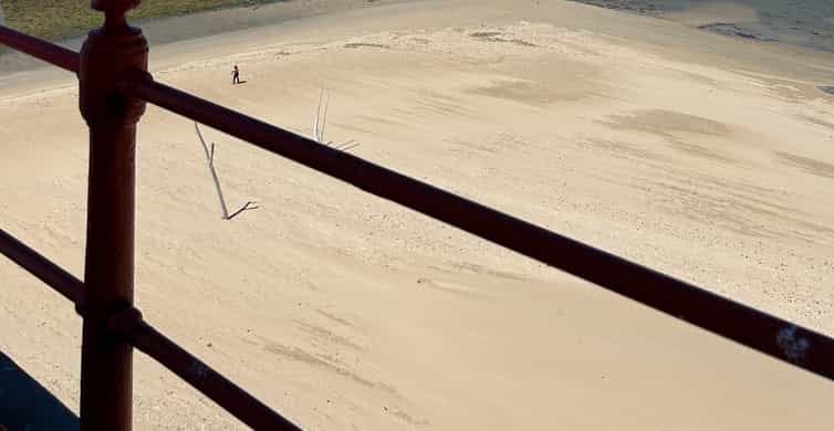 Enjoy sandy shores, tranquil ocean views, and playful penguins on this adventure.