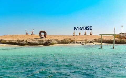 Full-Day Snorkeling Tour to Paradise Island from Hurghada