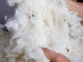 Icelandic Wool Yarn Factory Tour, photo 10