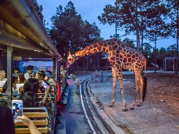 Chiangmai Night Safari Tour