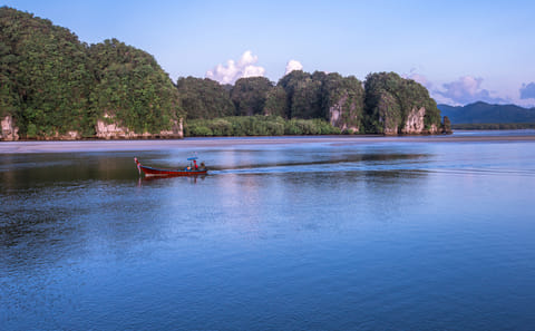 Kayaking and Birdwatching Tour in Ao Talen, Krabi Noi
