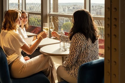 Private Tour, Luxury Eiffel Tower Lunch, Seine Cruise & Louvre