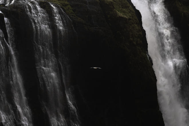 Private Hiking Tour to Glymur Waterfall: Minivan Transfer