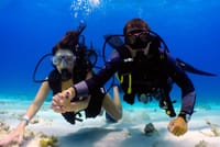 Scuba Diving Tour 4