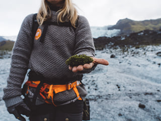 Glacier Discovery, photo 6