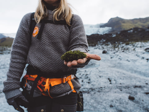 Glacier Discovery, photo 6