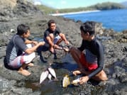 East Bali: Fishing Tour Spear or Line at Virgin Beach 5
