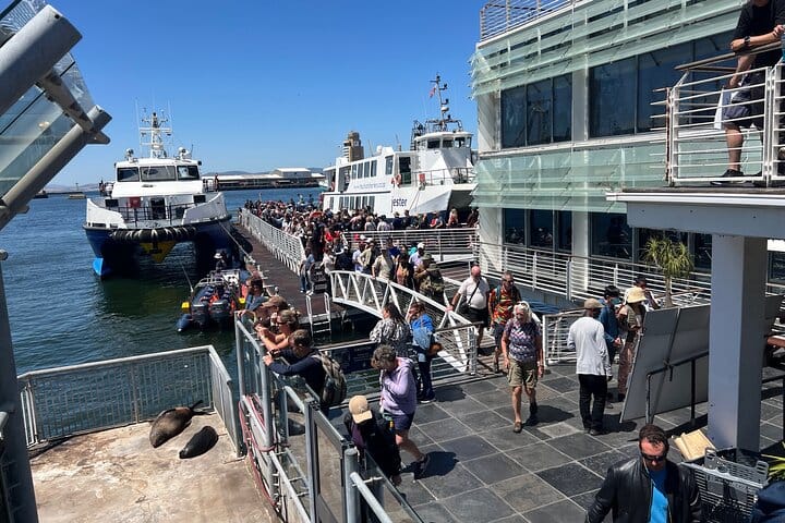 Robben Island Half Day Tour With Pre Booked Ticket from Cape Town