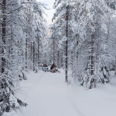 Sähkömoottorikelkkasafari Rovaniemellä - Image 9