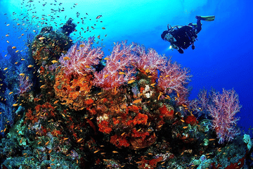 Scuba Diving Experience in Hurghada City Center, Egypt