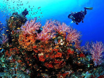 Scuba Diving Experience in Hurghada City Center, Egypt