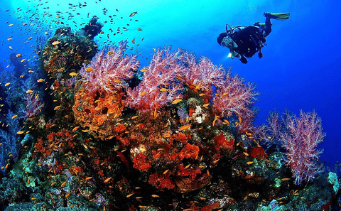 Scuba Diving Experience in Hurghada City Center, Egypt
