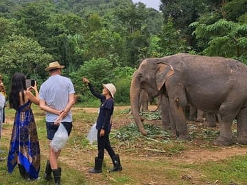 Phuket City and Elephant Sanctuary Cultural Tour
