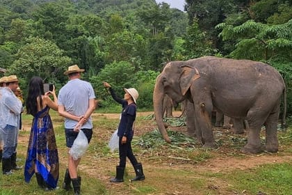 Phuket City Tour & Elephant Sanctuary – Town, Temple, Food & View