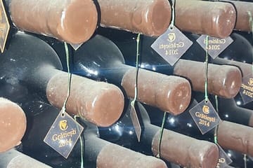 Wine Tasting Tour of Milesti Mici and Cricova in Moldova