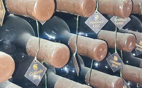 Wine Tasting Tour of Milesti Mici and Cricova in Moldova