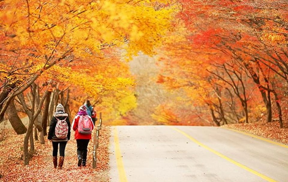 Autumn 10 days Jeonju&Mt.Naejangsan&Mt.Seorak&Mungyeong&Jeju&Busan on Early Nov