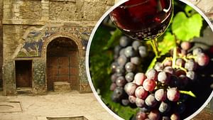 POMPEII & WINE TASTING tour from Naples - Group Tour