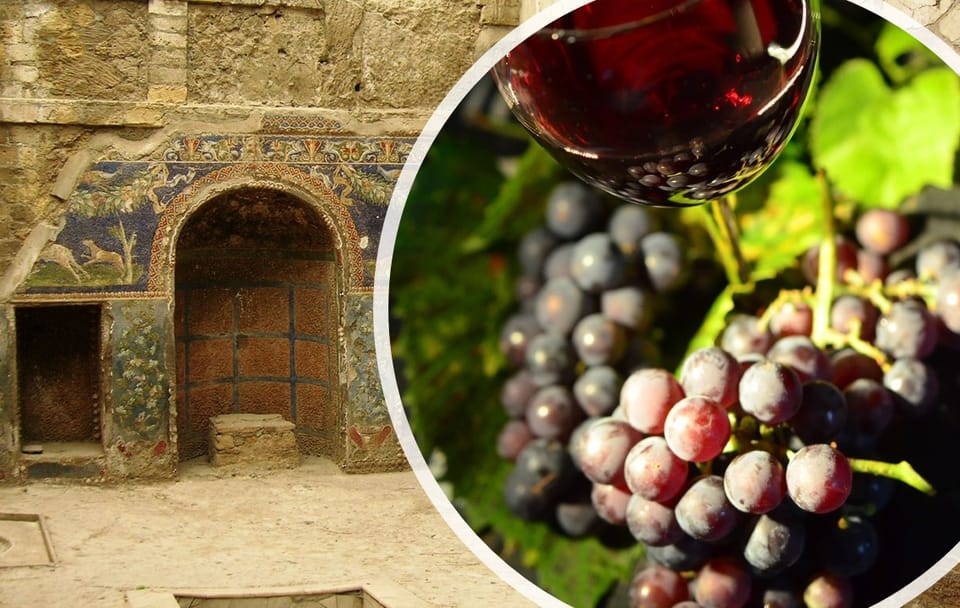 Pompeii Tour with Wine Tasting in Boscotrecase from Naples